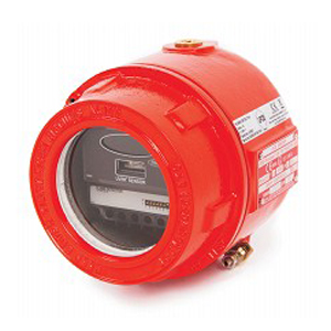 DLL-IR2EX (16511) | IR² flame detector (double infrared) IP66