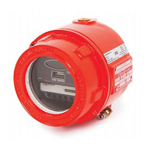 DLL-IR3EX (16519) | IR³ flame detector (triple infrared) IP66